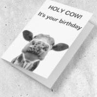 Heilige Koe Birthday Black Witte Koe