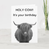 Heilige Koe Birthday Highland Koe Kaart (Voorkant)