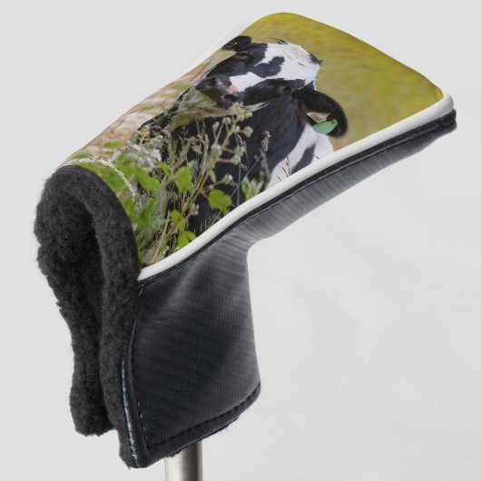 Heilige Koe! Het is een Holstein Friesian! Golfheadcover (3/4 voorkant)
