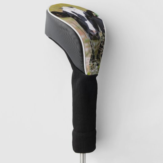 Heilige Koe! Het is een Holstein Friesian! Golfheadcover (Schuin)
