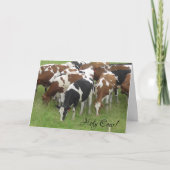 Heilige Koe Het Is Je Verjaardag Kaart (Voorkant)