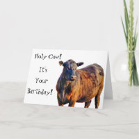 Heilige Koe Het is jouw verjaardag! Funny Animal