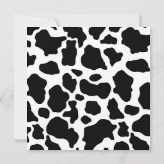 Heilige Koe Ik ben één uitnodiging (Achterkant)