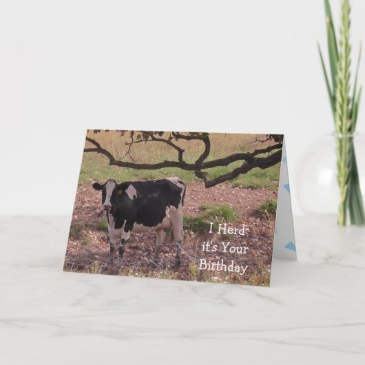 Heilige Koe, Je Wordt Oud, Verjaardag  Kaart (Voorkant)