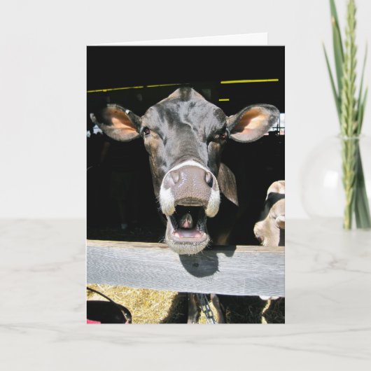 Heilige Koe Kaart (Voorkant)
