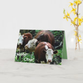 Heilige Koe over The Hill Birthday Kaart (Gele Bloem)