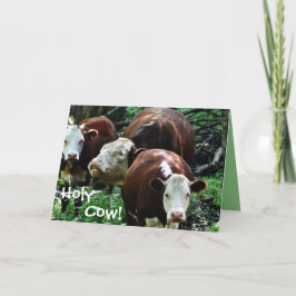 Heilige Koe over The Hill Birthday Kaart