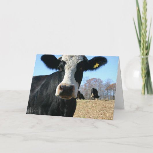 Heilige Koe We Zijn Verhuisd Aankondiging (Voorkant)