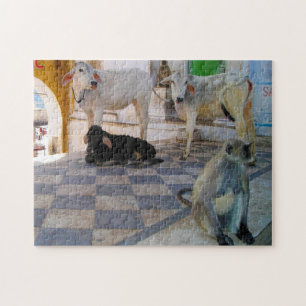 Heilige Koeien India. Legpuzzel