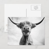 Heilige Kow Mesotint Style Art Fotografie L Briefkaart (Voorkant / Achterkant)