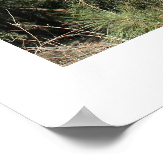 Heilige Kruiskapel Poster (Hoek)