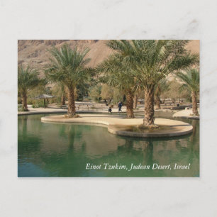 Heilige Land Scenes en Afbeeldingen uit Israël Briefkaart