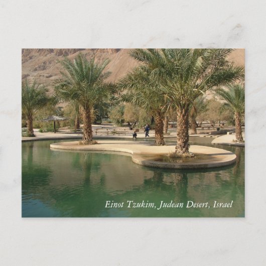 Heilige Land Scenes en Afbeeldingen uit Israël Briefkaart (Voorkant)