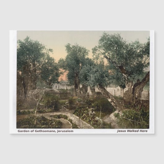 Heilige Landmagneet: Tuin van Gethesmane (Voorkant)