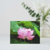 Heilige Lotus: Japan Briefkaart (Staand voorkant)