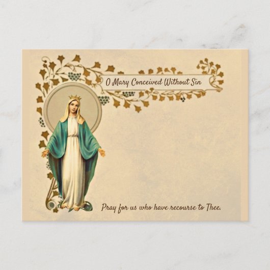 Heilige Maagd Maria Katholiek Gebed Religieus Feestdagenkaart (Voorkant)