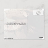 Heilige Mozes door Jusepe de Ribera Briefkaart (Achterkant)