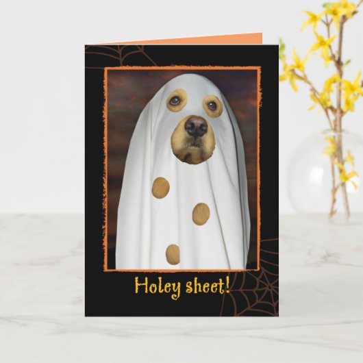Heilige plaat! Het is Halloween. Golden Retriever  Kaart (Gele Bloem)