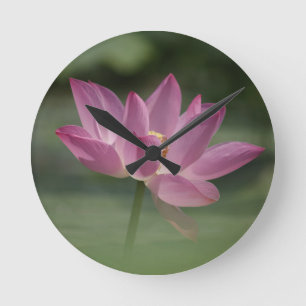 Heilige Roze Lotus Bloesem - Serene Zen Art voor M Ronde Klok