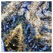 Heilige sterren.... stof (Close Up)