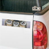 Heilige Uil Noord-Amerikaanse Indiaan Bumpersticker (Op Truck)