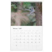 Heimische Vögel Kalender (Feb 2027)