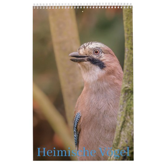Heimische Vögel Kalender (Hoes)