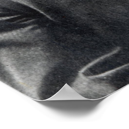 Heinrich Rudolph Hertz Poster (Hoek)