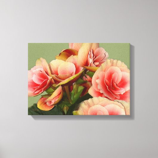 Heirloom Begonias 2 Canvas Afdruk (Voorkant)