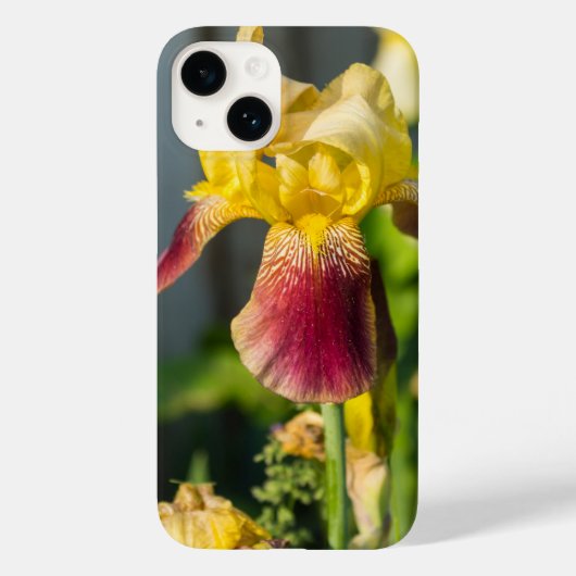Heirloom Iris iPhone Case (Achterkant)