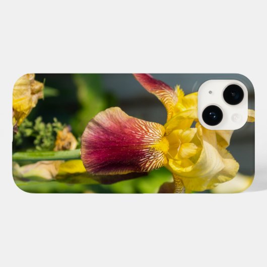 Heirloom Iris iPhone Case (Achterkant (horizontaal))