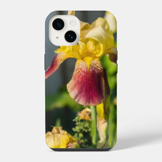 Heirloom Iris iPhone Case Hoesje (Achterkant)