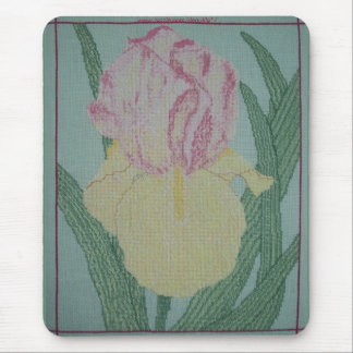 HEIRLOOM IRIS MUISMAT