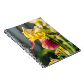 Heirloom Iris Notitieboek (Rechterzijde)