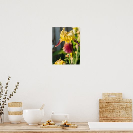 Heirloom Iris Poster (Keuken)
