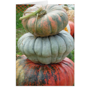 Heirloom Pumpkin Stack