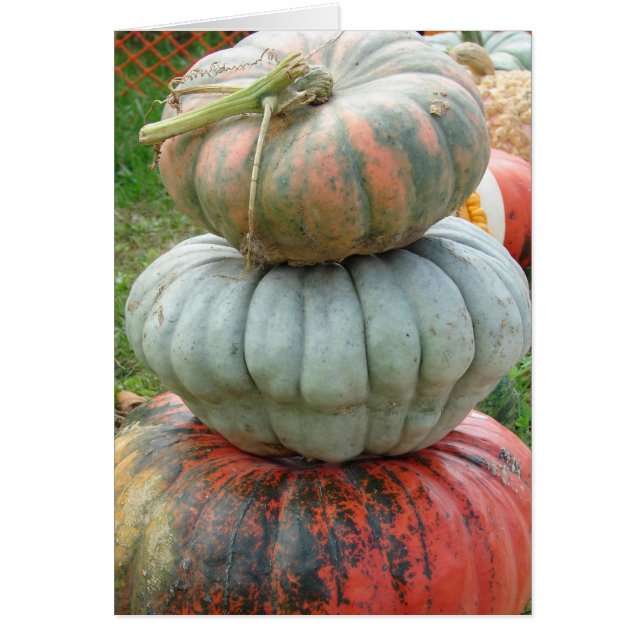 Heirloom Pumpkin Stack (Voorkant)