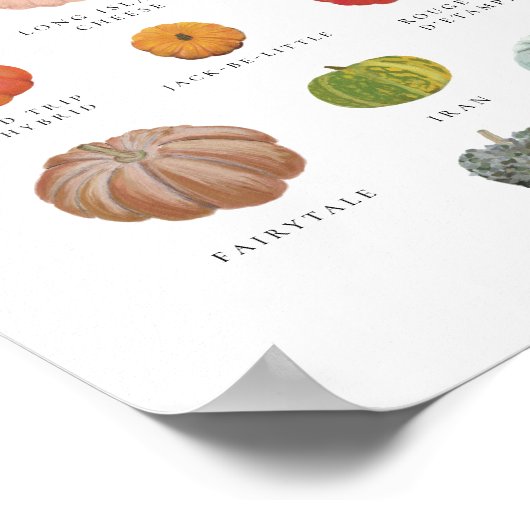 Heirloom Pumpkins Art Print (Hoek)