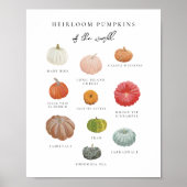 Heirloom Pumpkins Art Print (Voorkant)