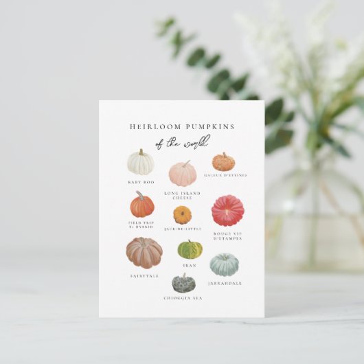 Heirloom Pumpkins Herfst Briefkaart (Staand voorkant)
