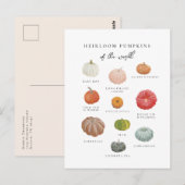 Heirloom Pumpkins Herfst Briefkaart (Voorkant / Achterkant)