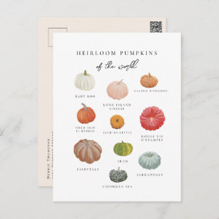 Heirloom Pumpkins Herfst Briefkaart