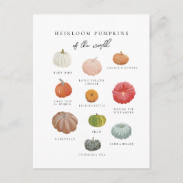 Heirloom Pumpkins Herfst Briefkaart