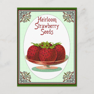 Heirloom Strawberry Seeds Briefkaart