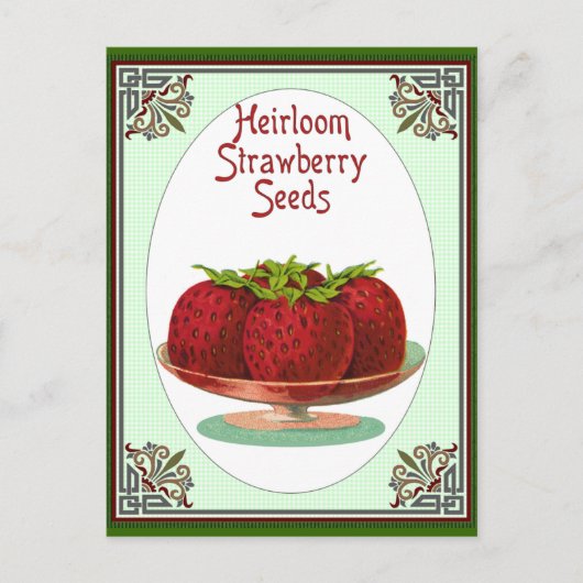 Heirloom Strawberry Seeds Briefkaart (Voorkant)