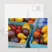 Heirloom Tomaten Briefkaart (Voorkant / Achterkant)