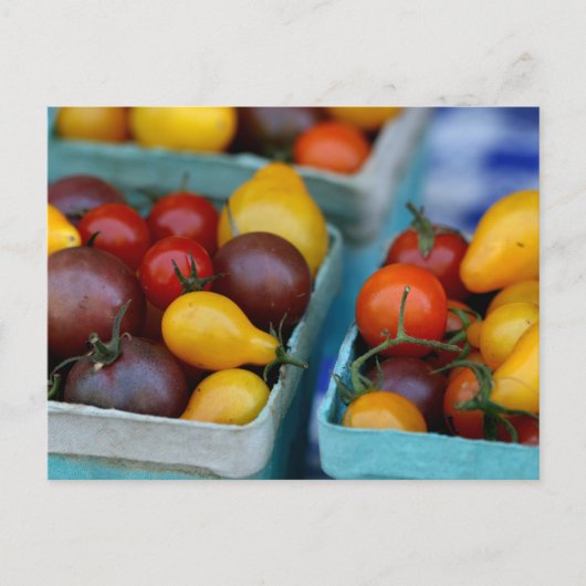 Heirloom Tomaten Briefkaart (Voorkant)