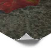 Heirloom Tomaten Poster (Hoek)