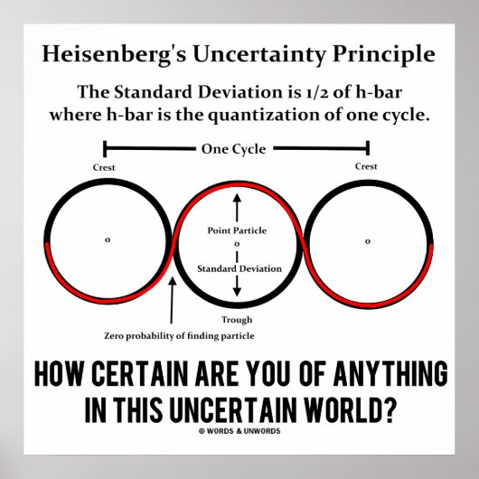 Heisenberg's onzekerheidsprincipe Physics Humor Poster (Voorkant)