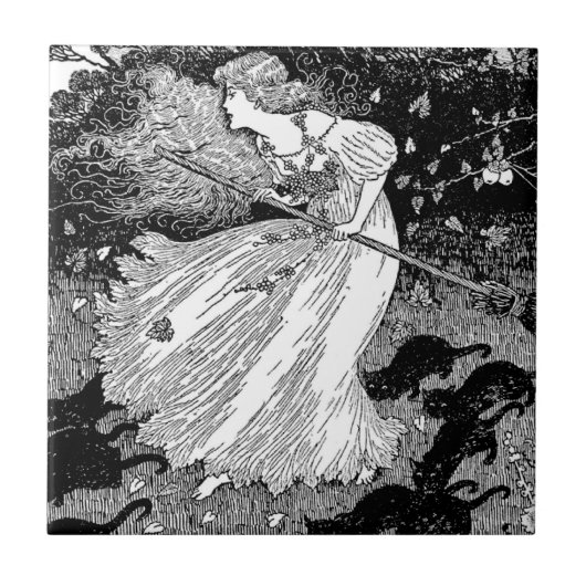 Hekje met katten tegeltje (Voorkant)